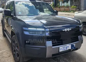 BYD Leopard 7 2025 Blue