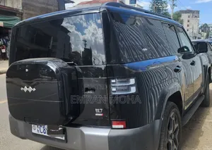 BYD Leopard 7 2025 Blue