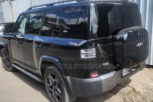 BYD Leopard 7 2025 Blue