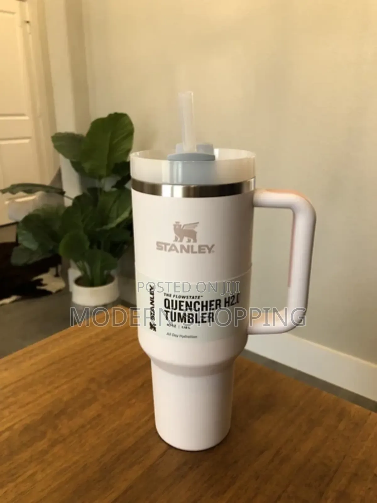 Stanley Mugs With Straw