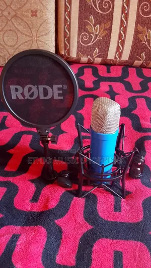 Studio Mic