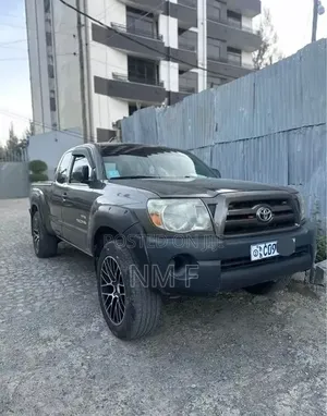 Toyota Tacoma 2008 Gray