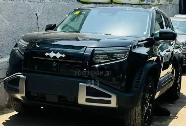 New BYD Leopard 3 2025 Black