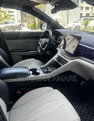 BYD Song Plus 2024 Gray