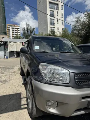 Toyota RAV4 2004 Gray