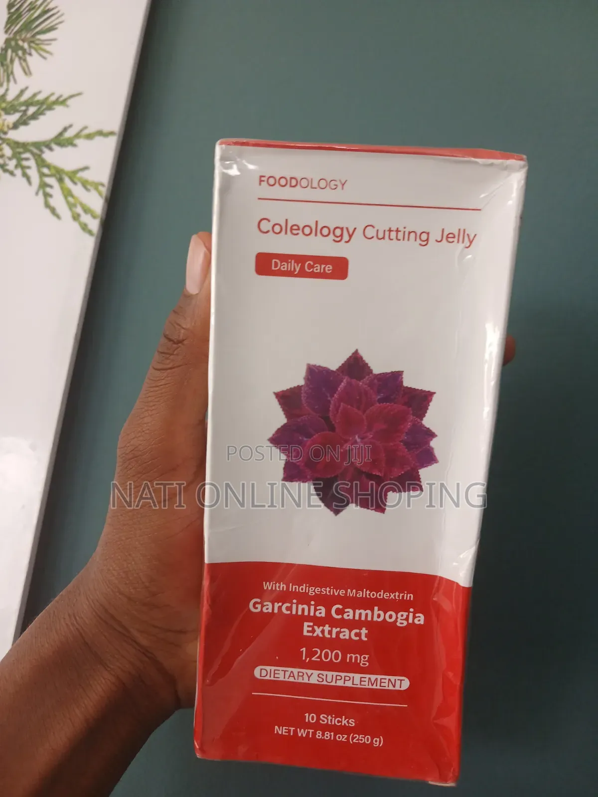 Foodology Coleology Cutting Jelly