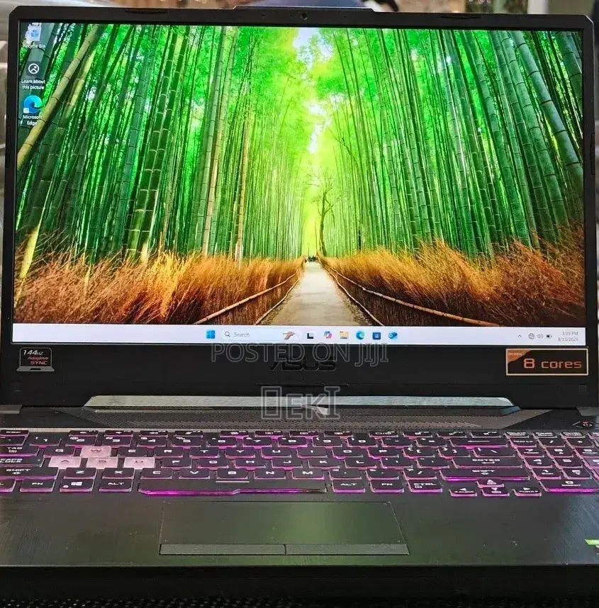New Laptop Asus TUF Gaming A15 16GB AMD Ryzen 9 SSD 512GB