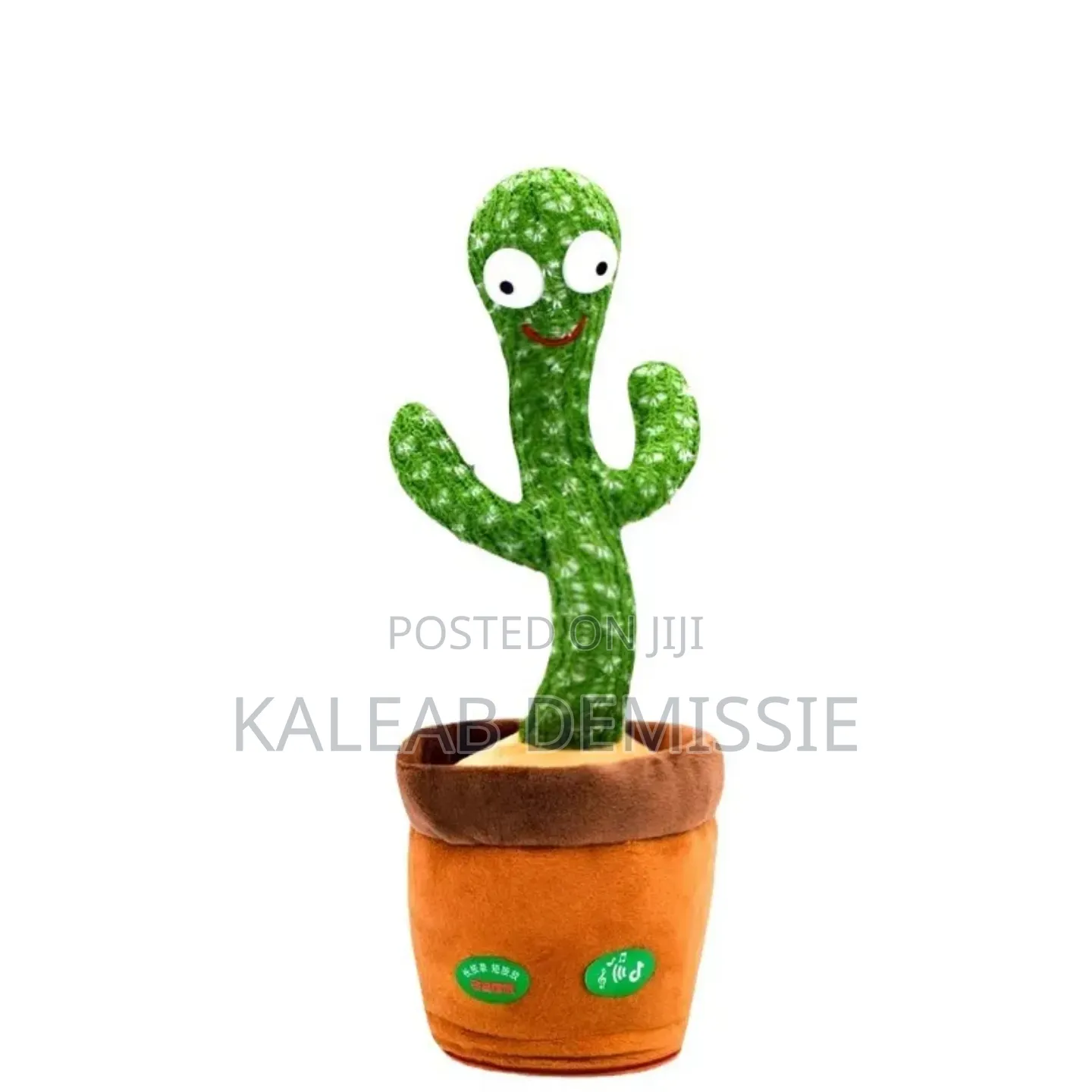 Dancing Cactus Toy Records And Repeats