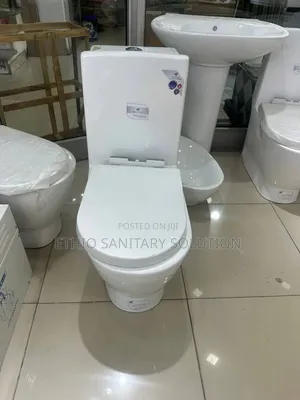 Golden Dragon Wc With Hand Wash