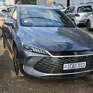 BYD Qin Plus DM-i 2025 Gray