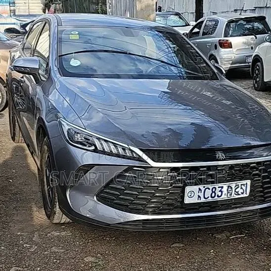BYD Qin Plus DM-i 2025 Gray