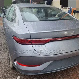 BYD Qin Plus DM-i 2025 Gray