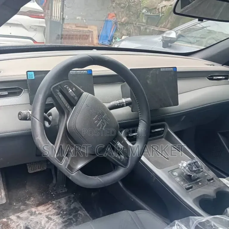 BYD Qin Plus DM-i 2025 Gray