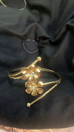 Bracelet or Jewlleery