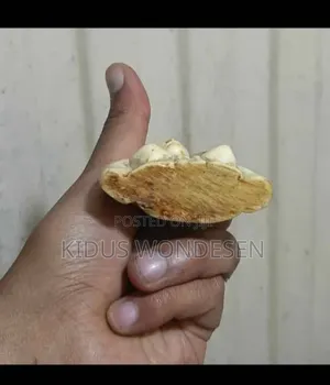 Antique and Souvenirs Made by Ivory