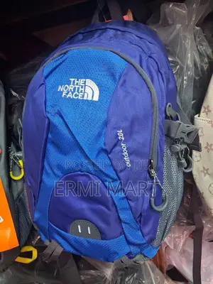 Blue the North Face Hiking Bag