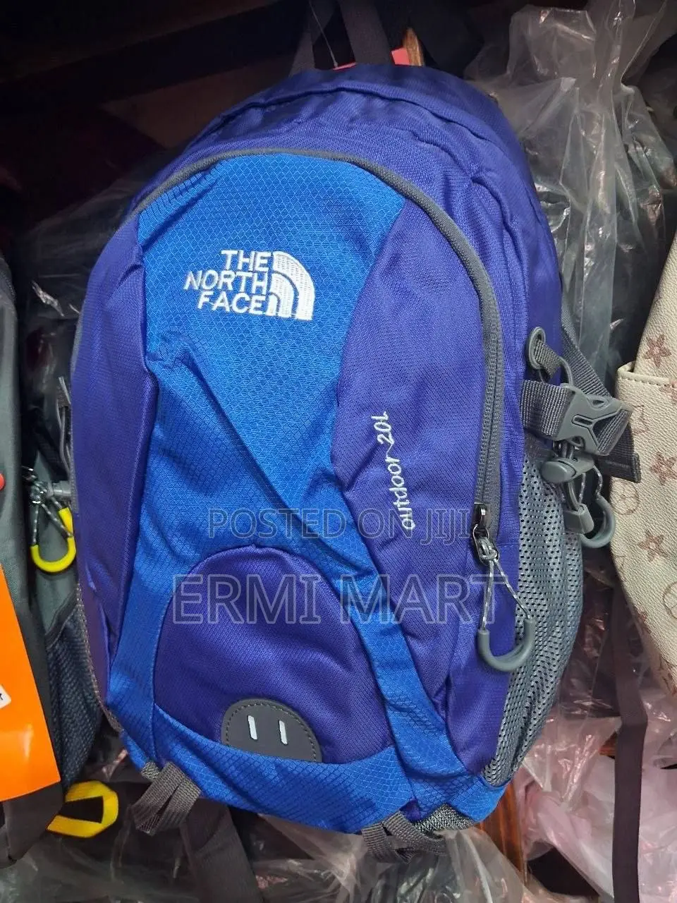 Blue the North Face Hiking Bag