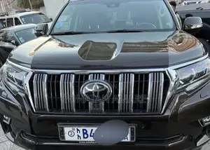 Toyota Land Cruiser Prado 2019 Brown