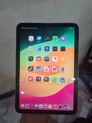 Apple iPad mini 6 256 GB