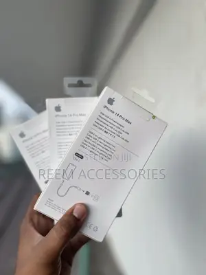 iPhone Charger