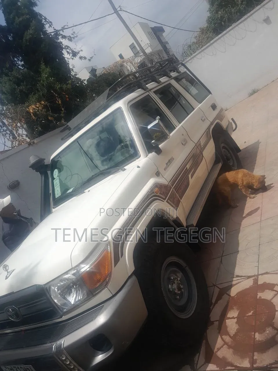 Toyota Land Cruiser 2011 White