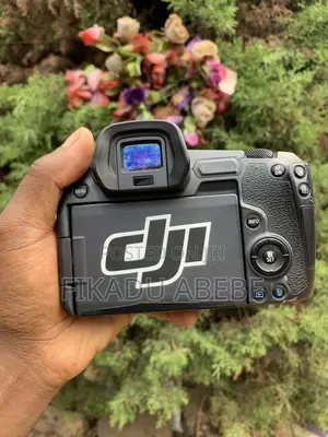 Canon R Body