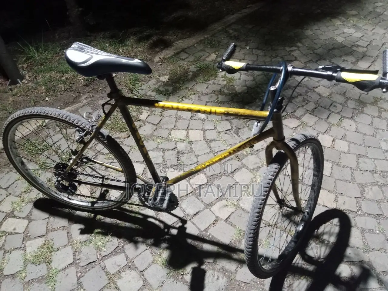 Bicycle Phonix
