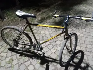Bicycle Phonix