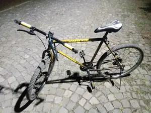 Bicycle Phonix