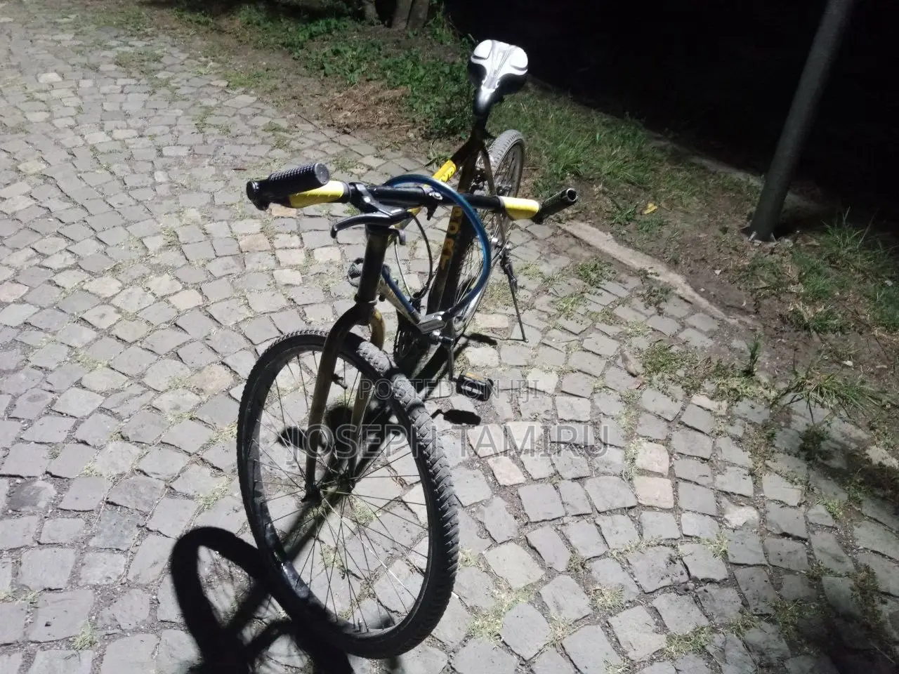 Bicycle Phonix