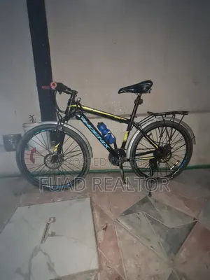 Phoenix Bicycle