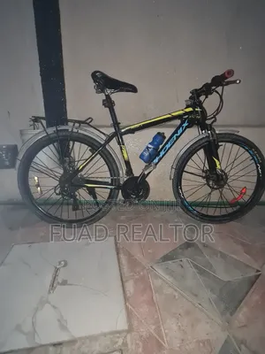Phoenix Bicycle