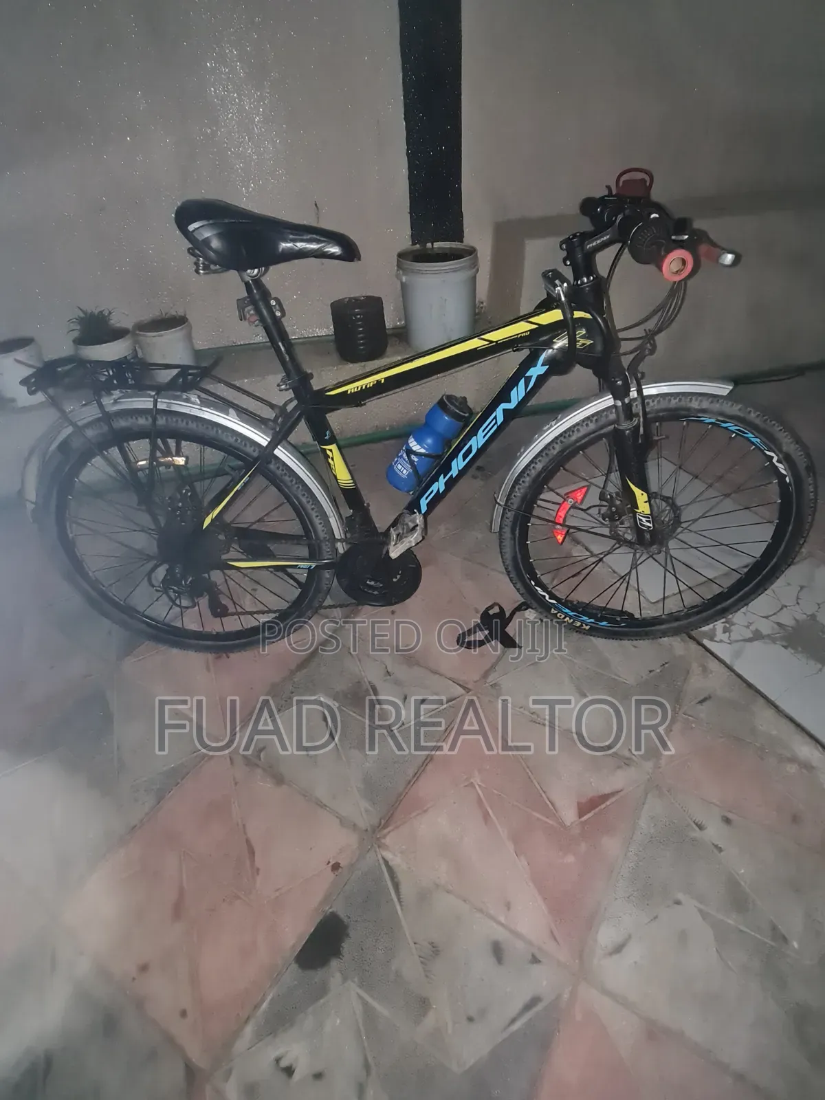 Phoenix Bicycle
