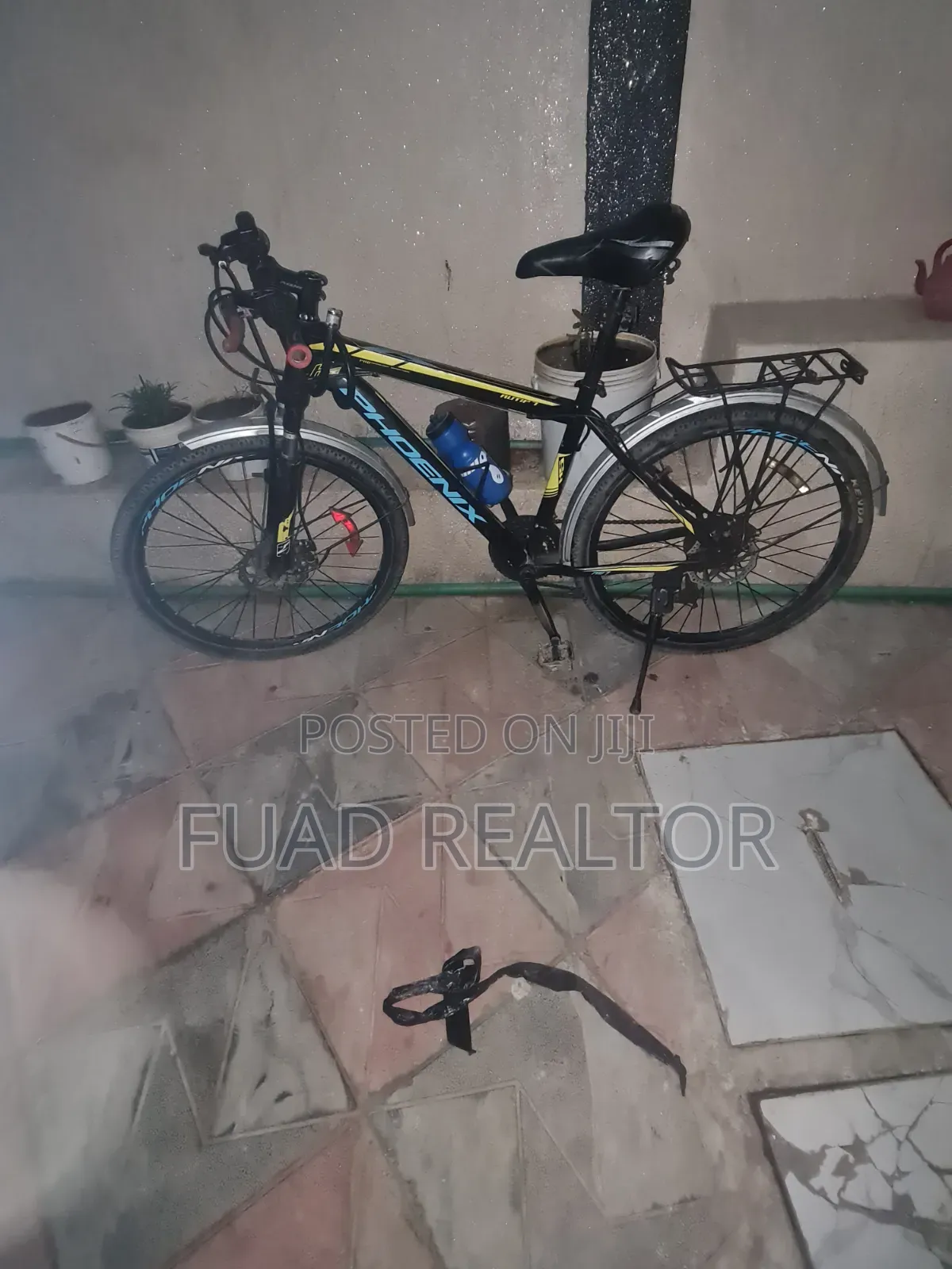 Phoenix Bicycle