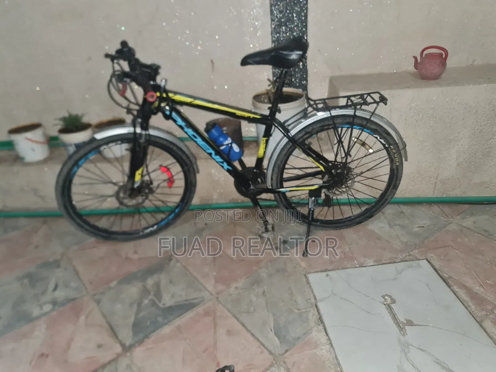 Phoenix Bicycle
