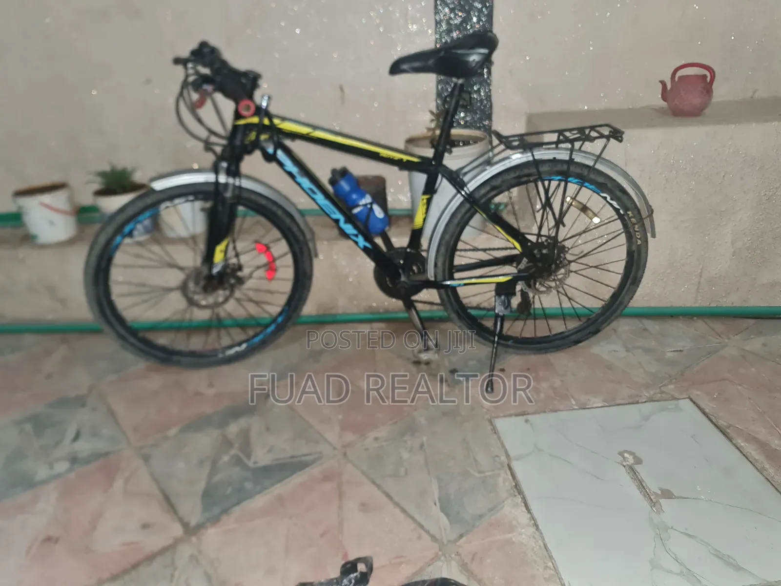Phoenix Bicycle