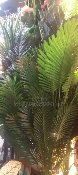 Beautiful Artificial Palm Tree-ውብ አርቲፊሻል ዘንባባ
