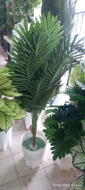 Beautiful Artificial Palm Tree-ውብ አርቲፊሻል ዘንባባ