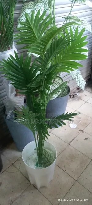 Beautiful Artificial Palm Tree-ውብ አርቲፊሻል ዘንባባ