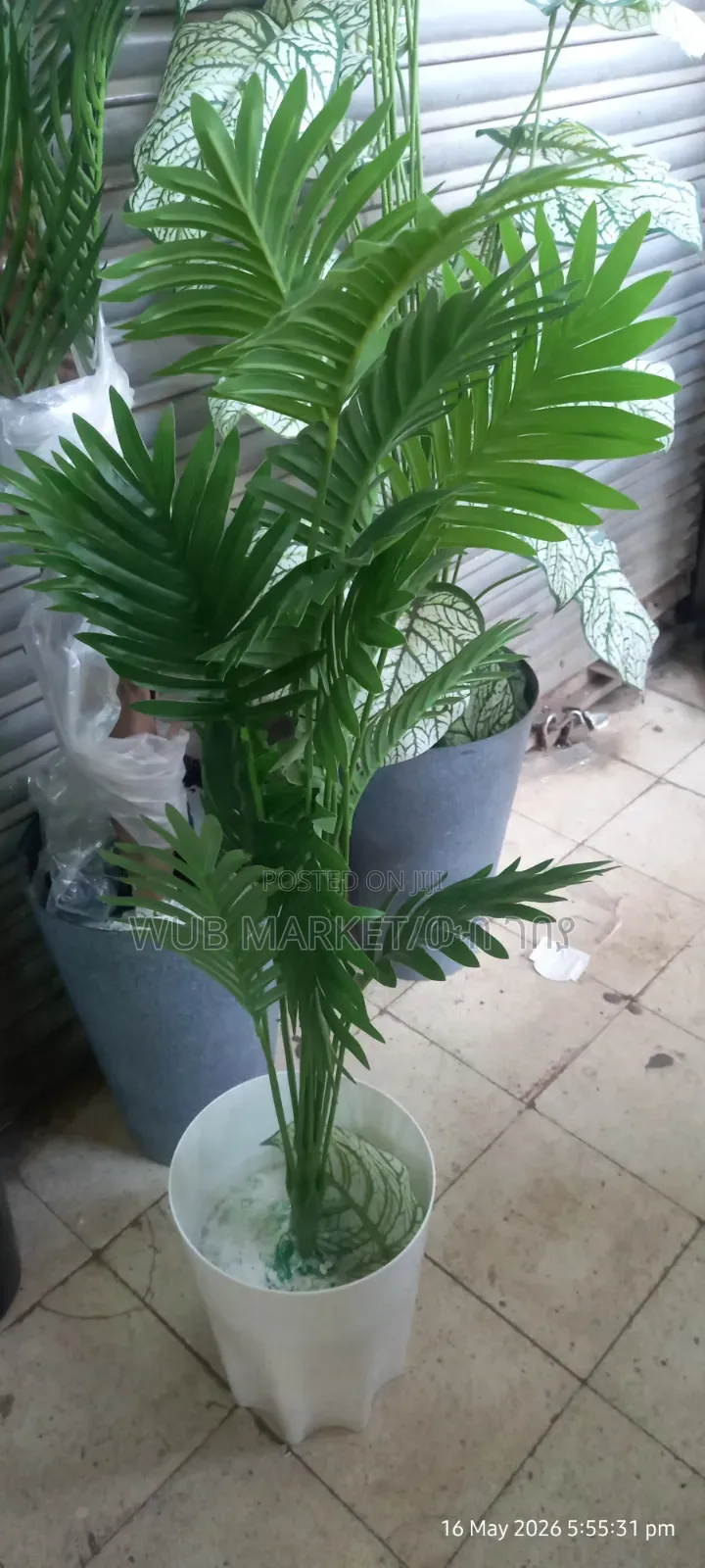 Beautiful Artificial Palm Tree-ውብ አርቲፊሻል ዘንባባ