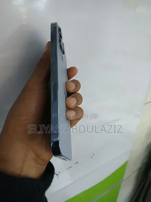 Apple iPhone 13 Pro Max 256 GB
