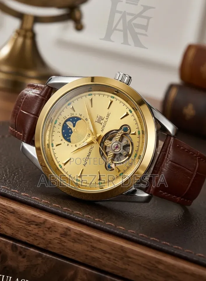 Aokulasic Men's Automatic Mechanical Watch With a Gold-Colored Dial