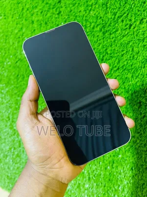 Apple iPhone 13 Pro Max 128 GB Gray