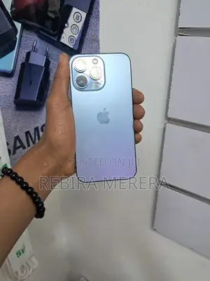 Apple iPhone 13 Pro 256 GB Gray