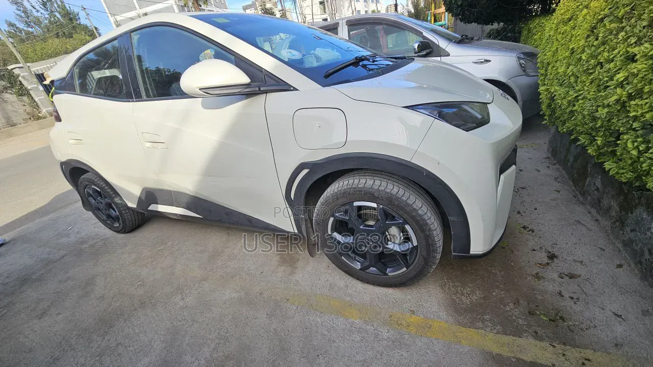 BYD Leopard 5 2025 White