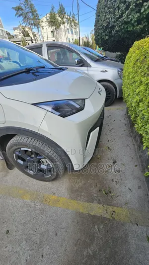 BYD Leopard 5 2025 White