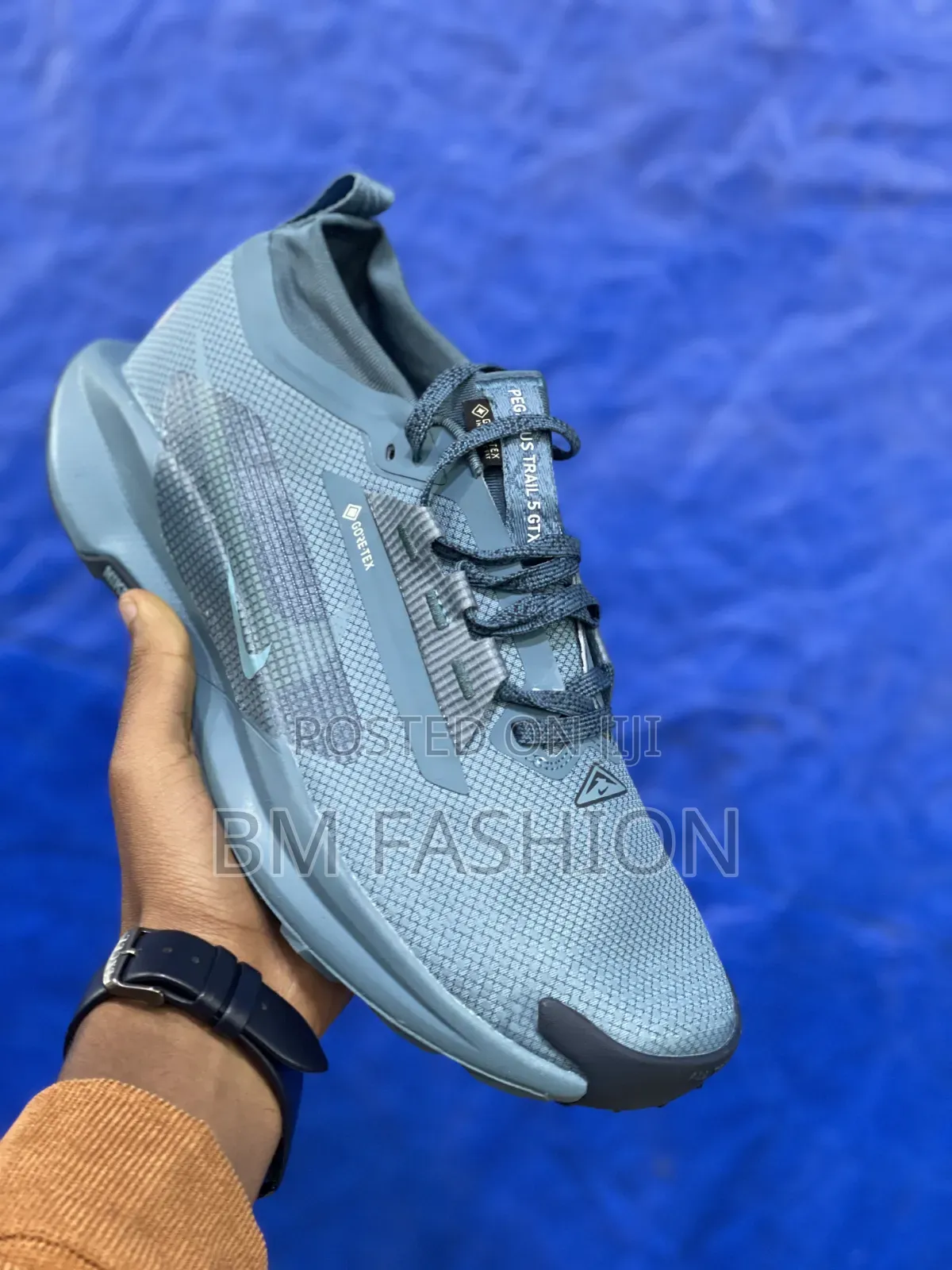 Nike Pegasus Trail 5 GTX