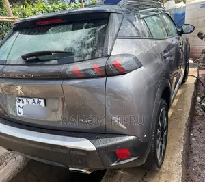 Peugeot 2008 2022 Silver