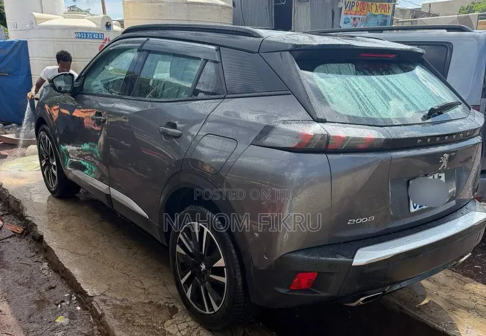 Peugeot 2008 2022 Silver