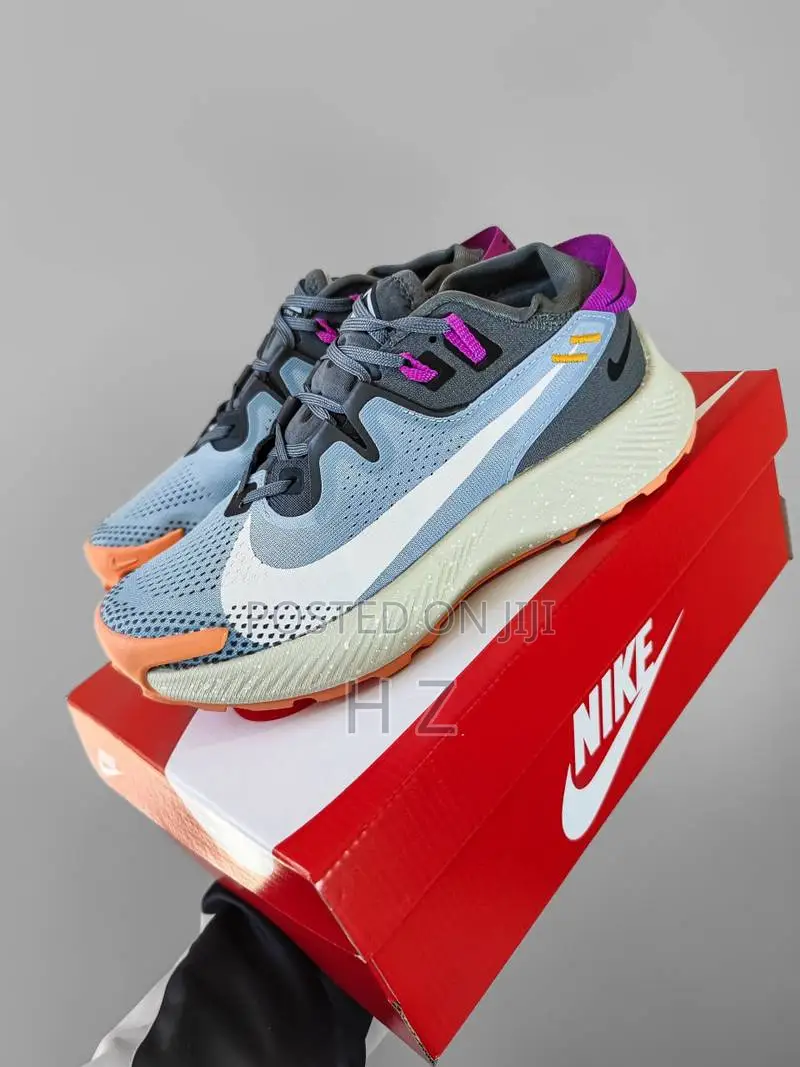 Nike Pegasus Trail 2